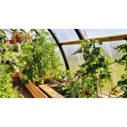 Polikarbon Levha Kullanım Alanları