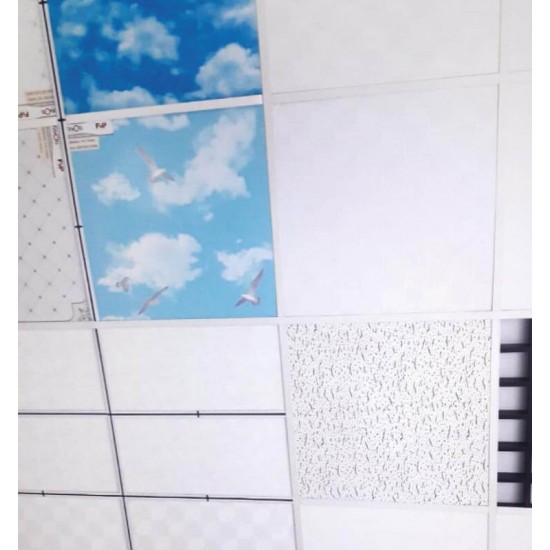 Asma Tavan Çeşitleri